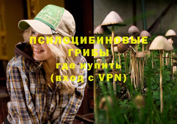 экстази Алзамай